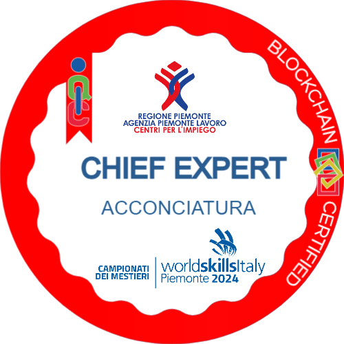 Badge pubblico 62773